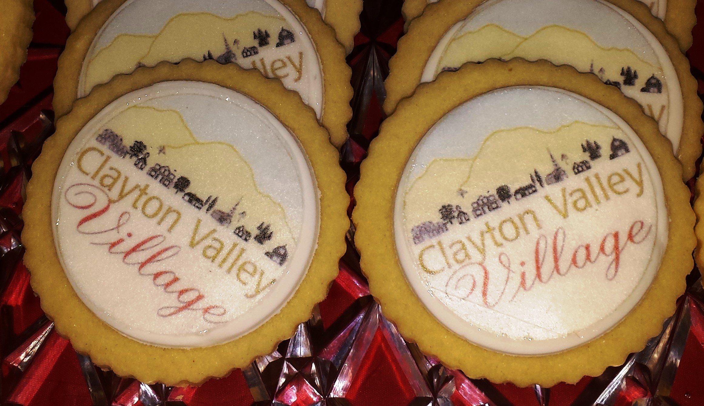 Boston Snowstorm Cancels Gawande Webinar; CVV will still host a meeting newsletter