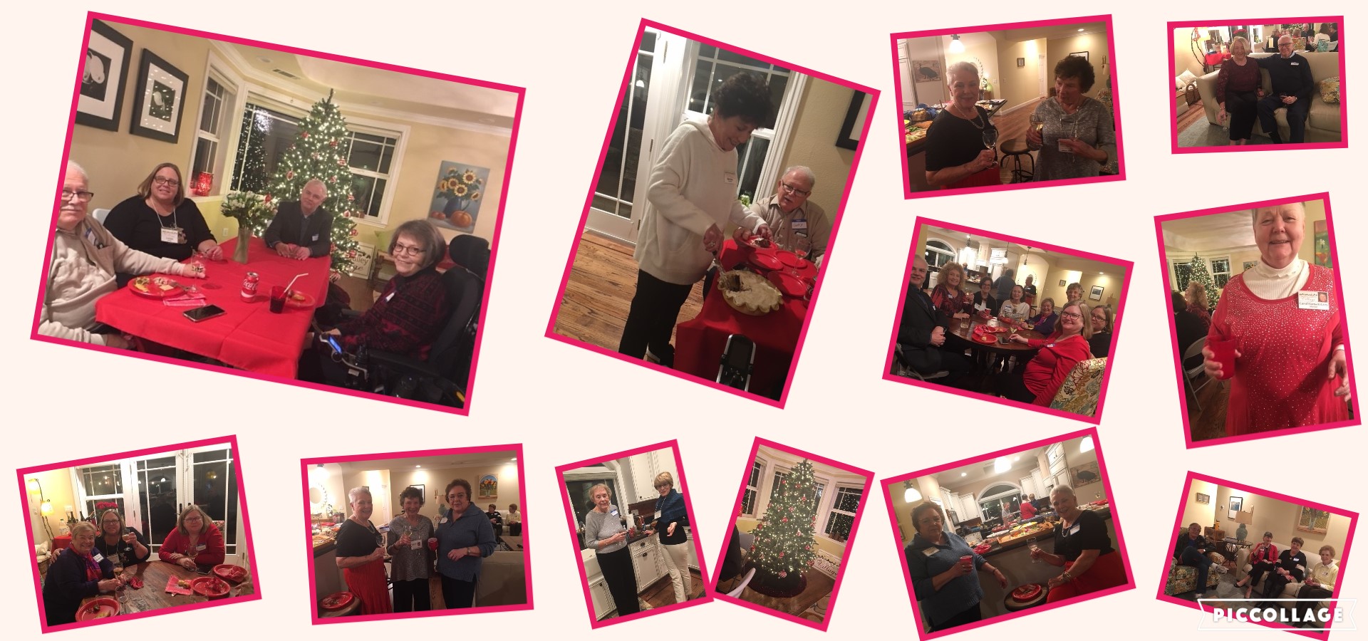 The Villager for Dec - Jan  newsletter