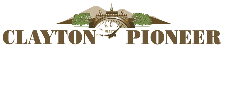 The Villager for Jan 2015 newsletter