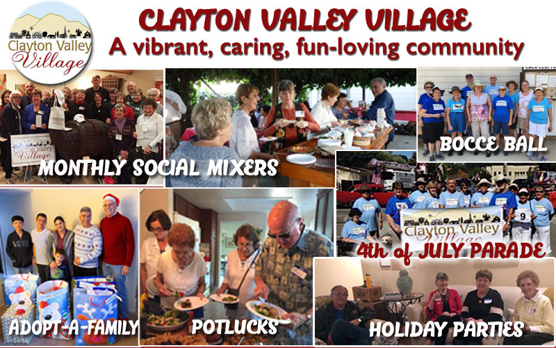 Our  Village Voice - June 2018 newsletter