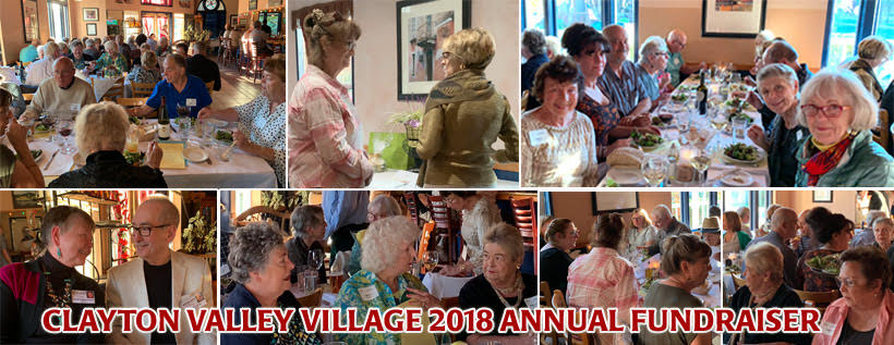 CVV November 2018 Newsletter newsletter