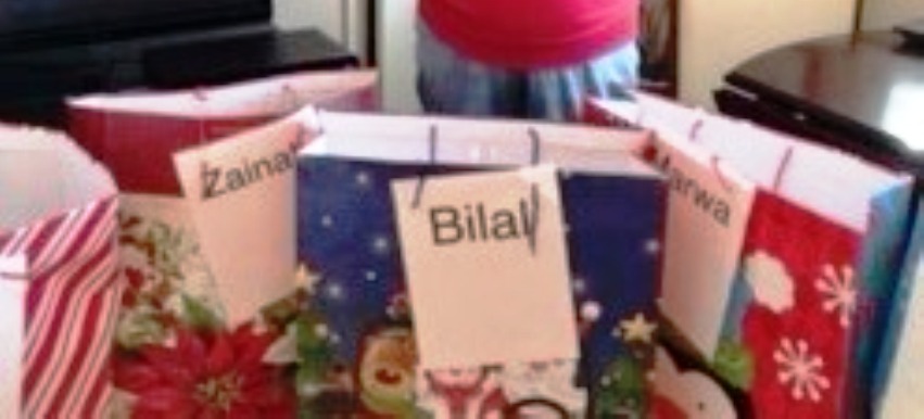 The Villager for Jan 2017 newsletter