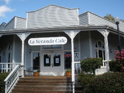 The Villager for Jan 2017, Special Update newsletter